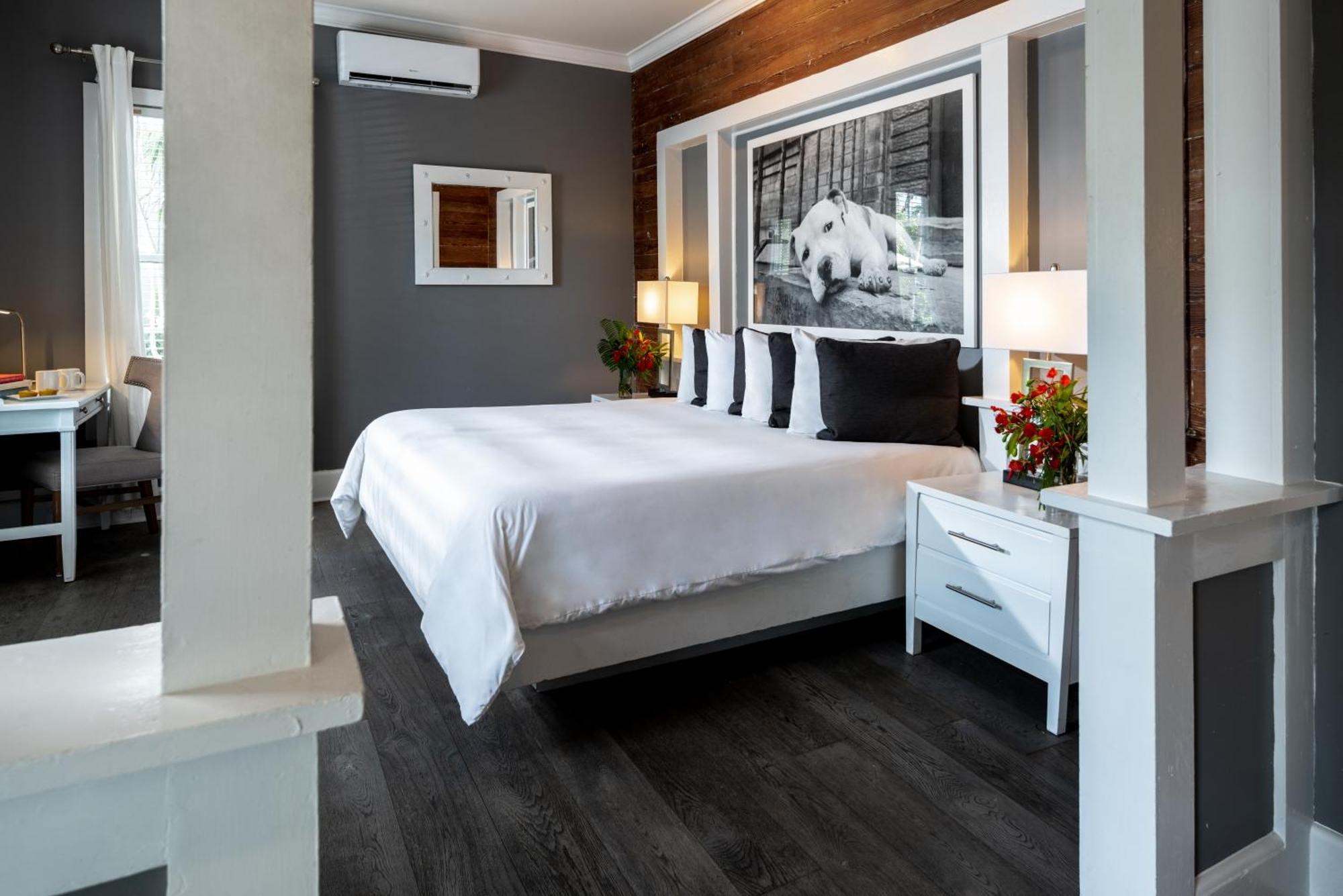 קי וסט Alexander'S Guesthouse-Adult Exclusive, Lgbtq Friendly חדר תמונה
