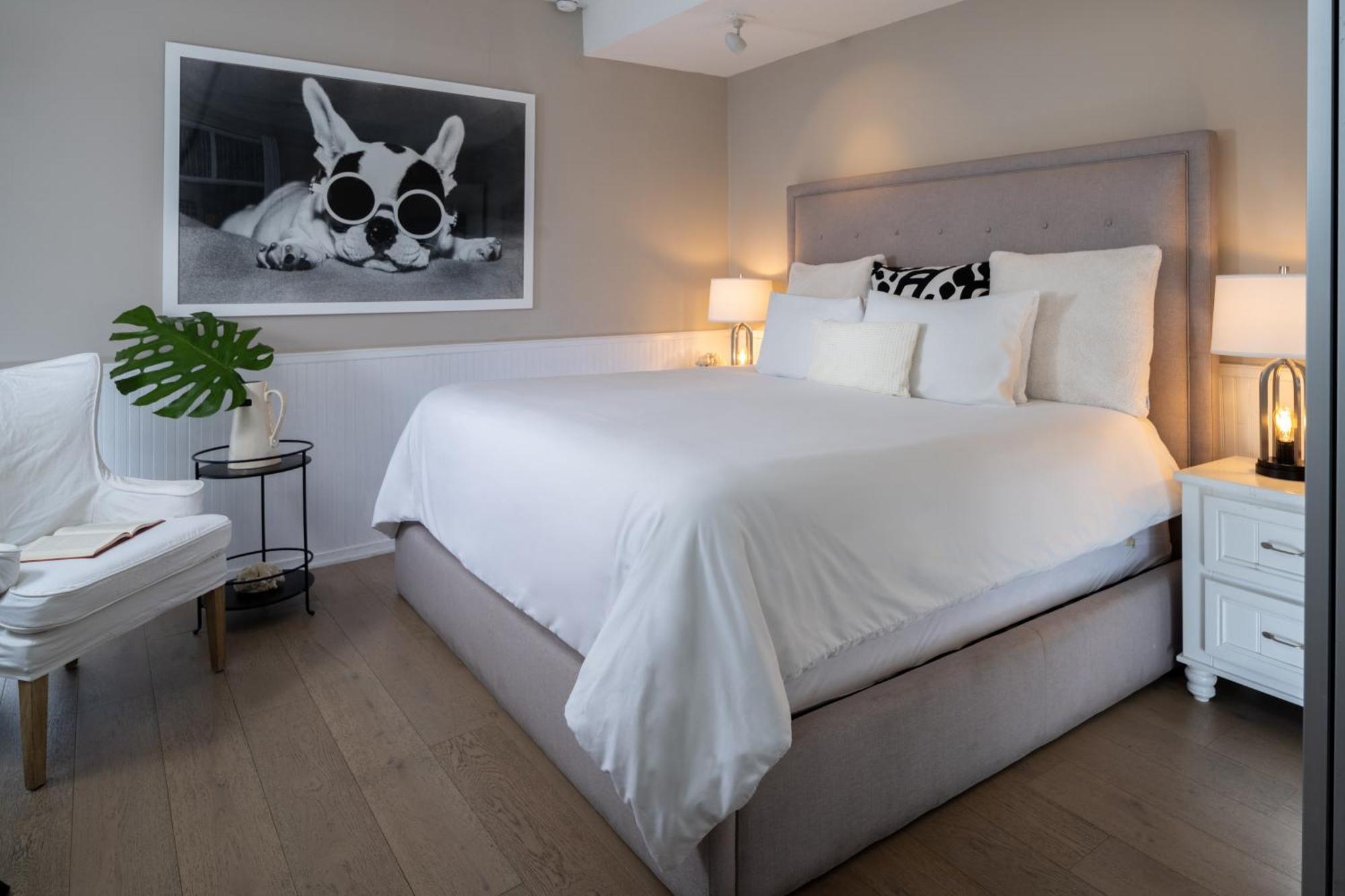 קי וסט Alexander'S Guesthouse-Adult Exclusive, Lgbtq Friendly חדר תמונה