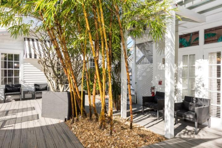 קי וסט Alexander'S Guesthouse-Adult Exclusive, Lgbtq Friendly חדר תמונה